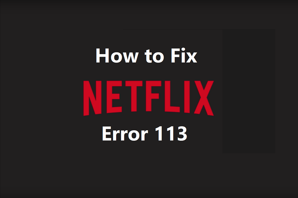 Netflix error 113