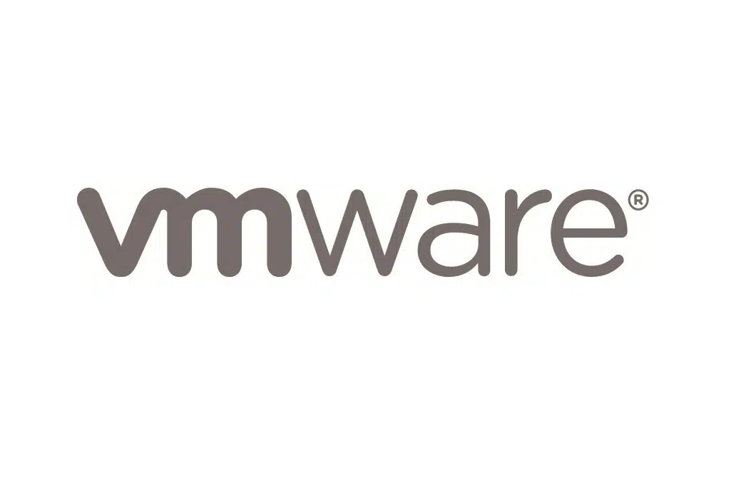 vmware extend dick greyed out
